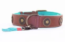 Dog With A Mission Halsband Urban -Huisdier Korting Winkel urban 4cm halsband